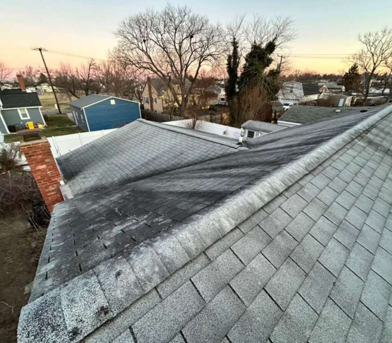 Roof Replacement (2)