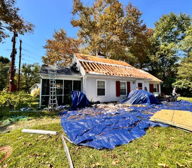 roof and decking (2)