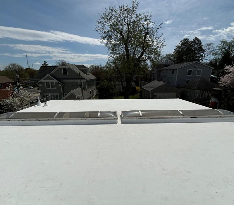 roof repair (4)